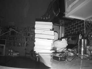 voyeurcam bridgetleewalters 02